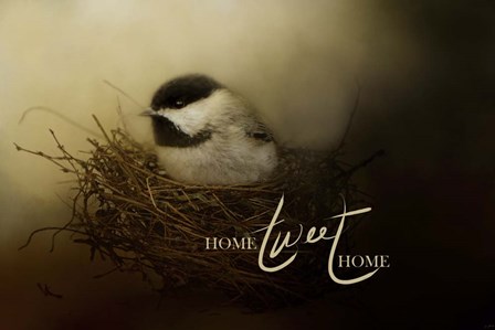 Home Tweet Home with words by Jai Johnson art print