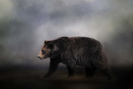 Seeking Water by Jai Johnson art print