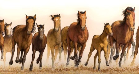 Running Horses by James W. Johnson art print