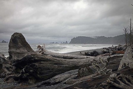 239 Olympic NP by J.D. McFarlan art print