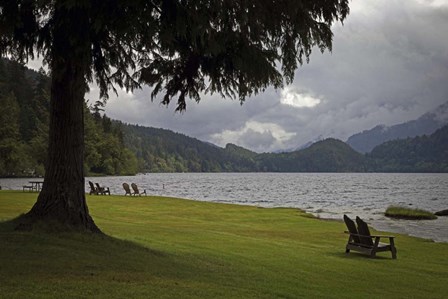 243 Olympic NP by J.D. McFarlan art print