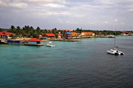 Bonaire 4 by J.D. McFarlan art print