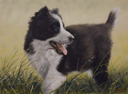 Puppy by John Silver art print