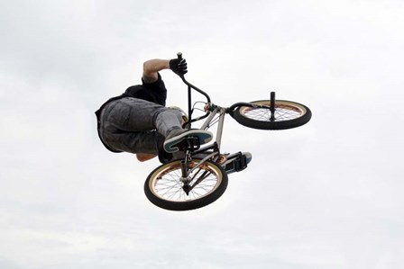 BMX Above by Karen J. Williams art print