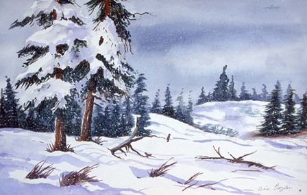 Snow by Arie Reinhardt Taylor art print