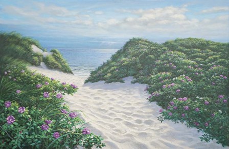 Herring Cove Dunes by Bruce Dumas art print