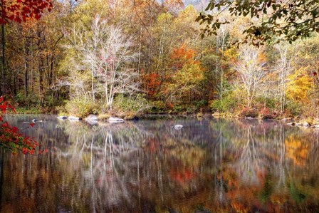 Autumn&#39;s Peak by Celebrate Life Gallery art print