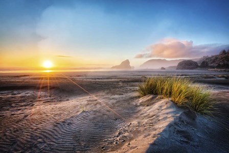 Dunes On The Pacific Coastline by Celebrate Life Gallery art print
