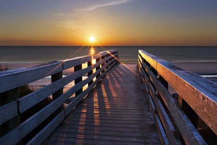 Stars On The Boardwalk by Celebrate Life Gallery art print