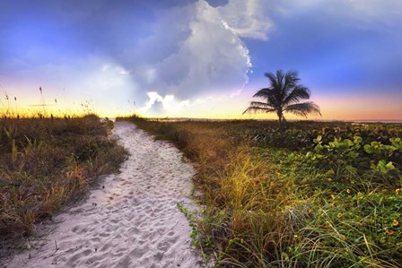Wildflowers On The Dunes by Celebrate Life Gallery art print