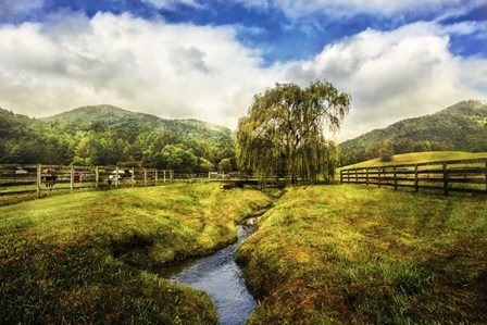 Willow in Early Autumn by Celebrate Life Gallery art print
