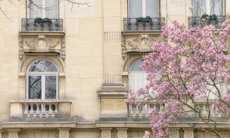 Facade With Magnolia by Cora Niele art print