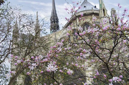 Notre Dame de Paris III by Cora Niele art print