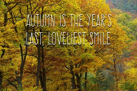 Loveliest Smile by Cora Niele art print