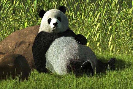 Reclining Panda by Daniel Eskridge art print