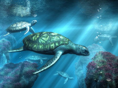 Sea Turtles by Daniel Eskridge art print