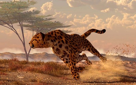 Speeding Cheetah by Daniel Eskridge art print