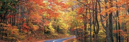 October Road by Doug Cavanah art print