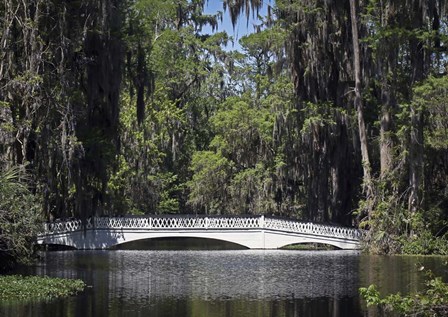 Magnolia Gardens 1 by J.D. McFarlan art print