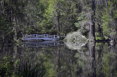 Magnolia Gardens 2 by J.D. McFarlan art print