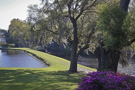 Middleton Place 3, SC by J.D. McFarlan art print