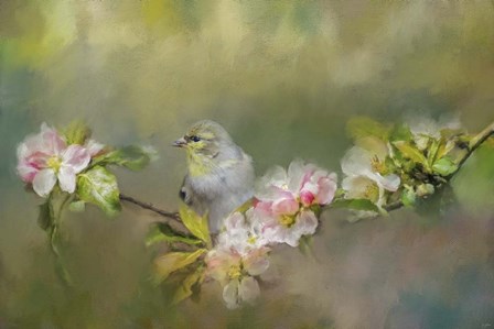 Goldfinch In The Garden 2 by Jai Johnson art print
