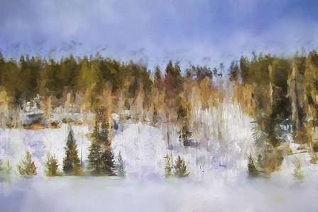 Colorado Color Splash 2 by Jai Johnson art print