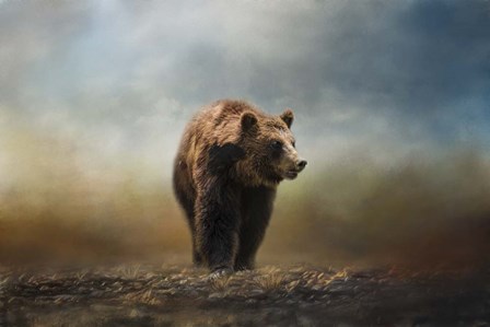 Grizzly On The Rocks by Jai Johnson art print