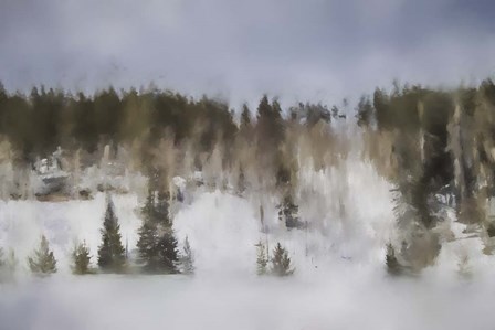 Winter Impressions In Colorado 8 by Jai Johnson art print