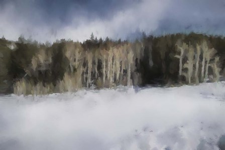 Winter Impressions In Colorado 11 by Jai Johnson art print