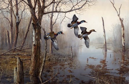 Backwater by Jim Hansel art print