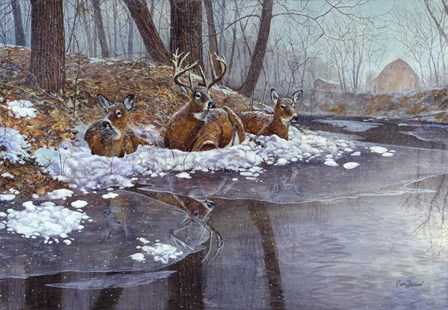 Creekside by Jim Hansel art print