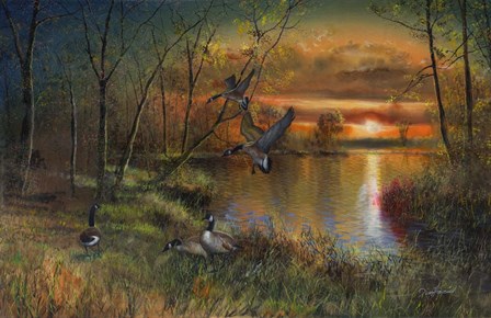 Evening Refuge by Jim Hansel art print