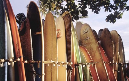 Long Boards Waikiki by Joe Felzman Photography art print