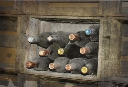 Dusty Wine by Karen J. Williams art print