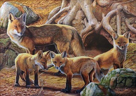 Front Porch Fox Family by Kip Richmond art print