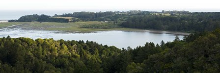Bolinas in Spring by Lance Kuehne art print