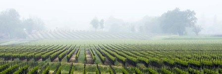 Fog Shrouded Valley by Lance Kuehne art print