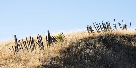 Pickets and Barbed Wire by Lance Kuehne art print