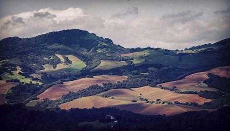 Sonoma Hillside Shadows by Lance Kuehne art print