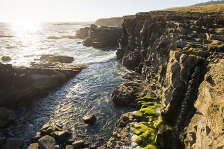 Wild Sonoma Coast by Lance Kuehne art print
