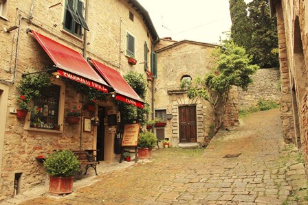 Sapori di Toscana by Les Mumm art print
