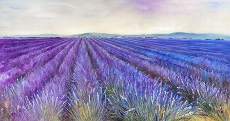 Lavender VI by Li Bo art print
