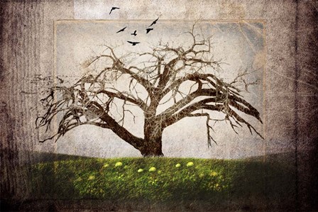 Cottonwood Tree Part 3 by LightBoxJournal art print