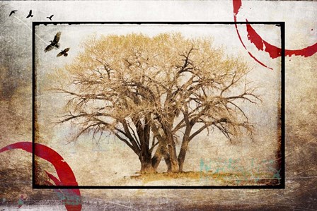 Cottonwood Tree Part 6 by LightBoxJournal art print