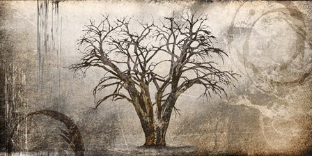 Cottonwood Tree Part 7 by LightBoxJournal art print