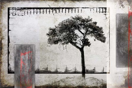 July Tree 3 by LightBoxJournal art print