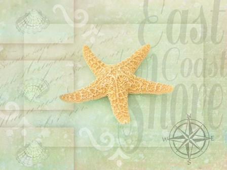 Gypsy Sea Green 4 by LightBoxJournal art print