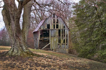 Barn Shell by Lori Hutchison art print