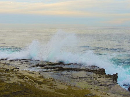 La Jolla Beach by Lori Hutchison art print